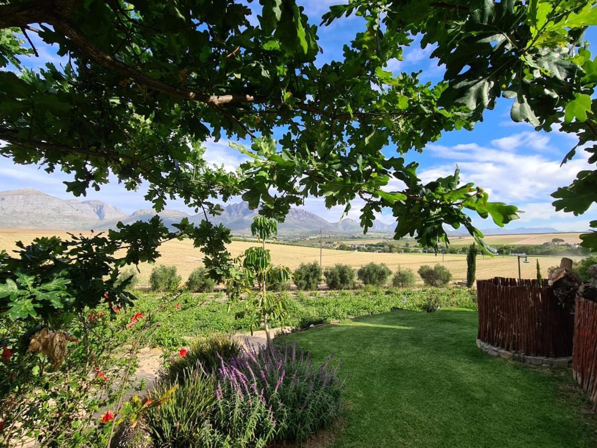 Vineyard Cottage At Bosman Wines Уелингтън Екстериор снимка