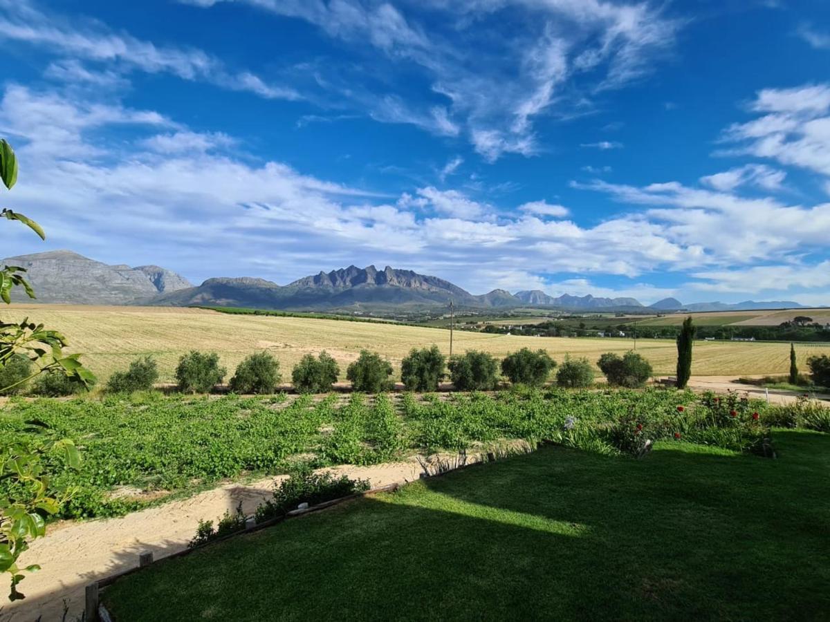 Vineyard Cottage At Bosman Wines Уелингтън Екстериор снимка