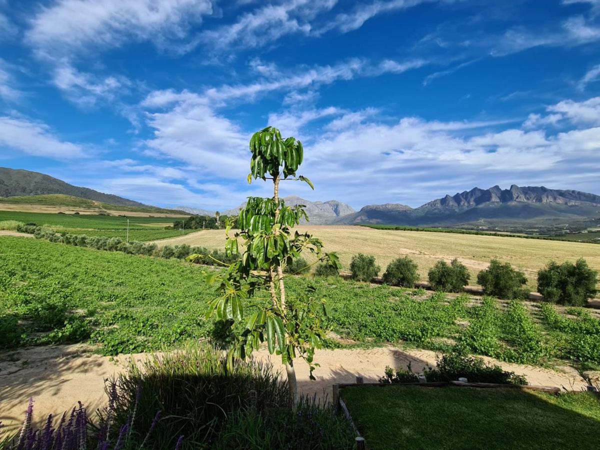 Vineyard Cottage At Bosman Wines Уелингтън Екстериор снимка