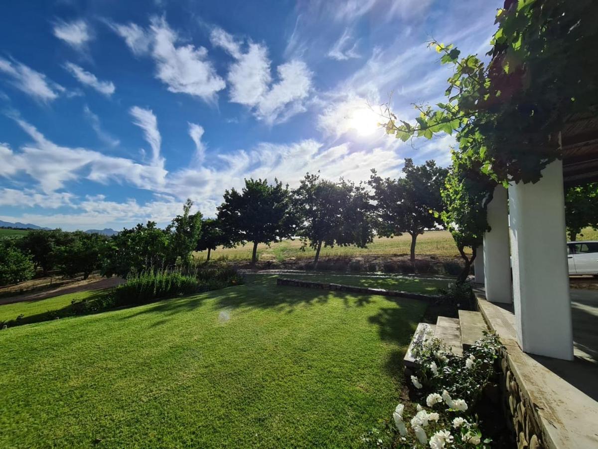 Vineyard Cottage At Bosman Wines Уелингтън Екстериор снимка