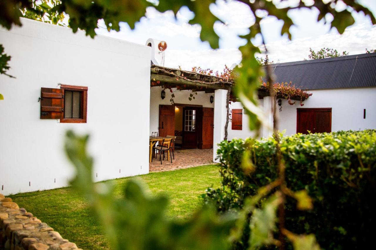 Vineyard Cottage At Bosman Wines Уелингтън Екстериор снимка