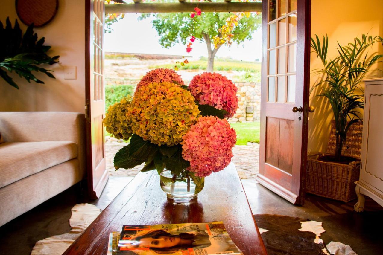 Vineyard Cottage At Bosman Wines Уелингтън Екстериор снимка