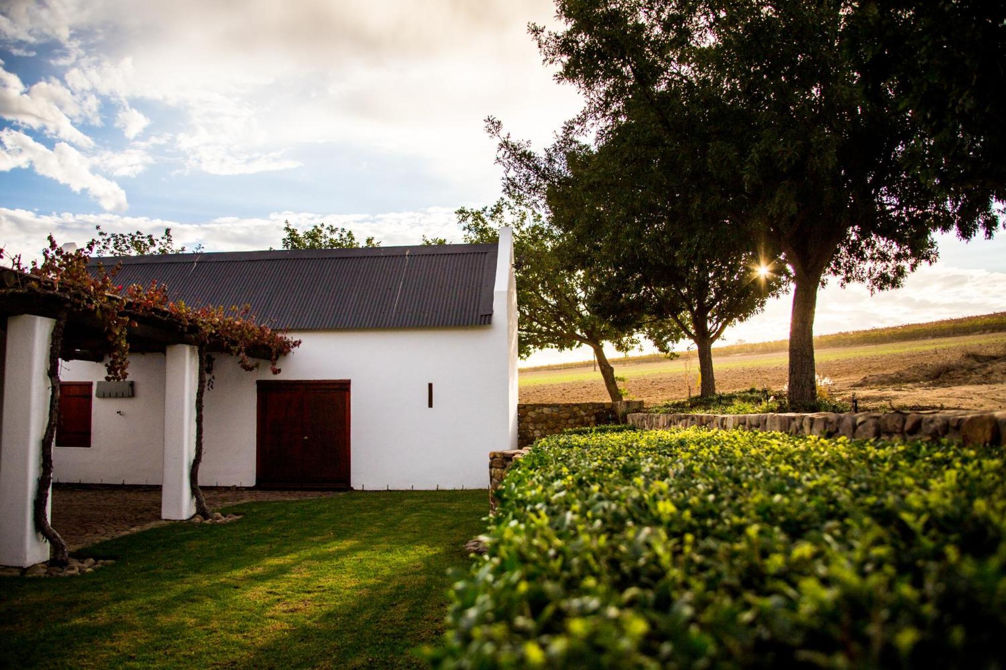 Vineyard Cottage At Bosman Wines Уелингтън Екстериор снимка